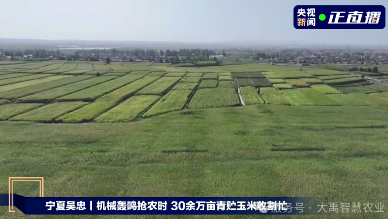 媒體聚焦 | 大禹節(jié)水以智慧農(nóng)業(yè)技術(shù)，為 30 萬畝青貯玉米豐收 “添動力”